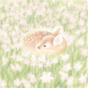 Meet your Posher, Des༊*· ̊